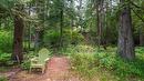 Upper Passmore Rd Road, Passmore, BC 