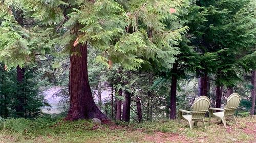 Upper Passmore Rd Road, Passmore, BC 