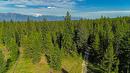 Lot B 8250 Hwy 95A, Kimberley, BC 