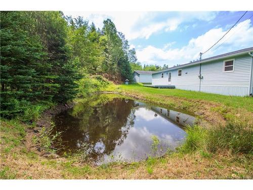 49 Pumpkin Hill Rd, Nauwigewauk, NB 