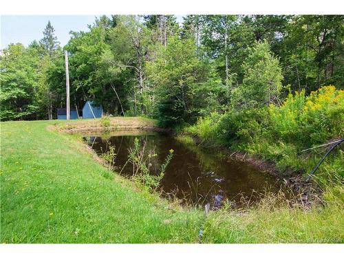 49 Pumpkin Hill Rd, Nauwigewauk, NB 