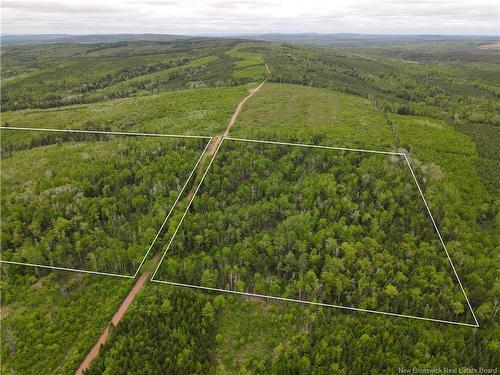 Lot Cemetery Rd, Whites Mountain, NB - Outdoor With View