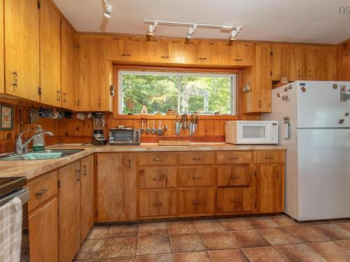 390-406 Highway 308, Morris Island, NS - Indoor Photo Showing Kitchen With Double Sink