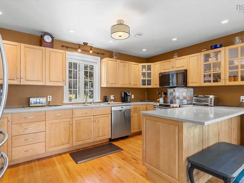 119 Indian Path Road, Indian Path, NS - Indoor Photo Showing Kitchen