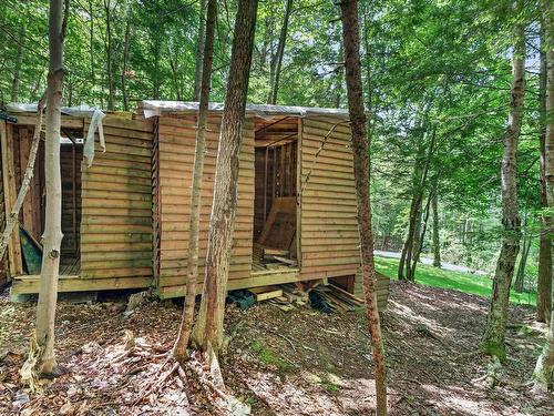 49 Frenchmans Road, Oakfield, NS - Outdoor