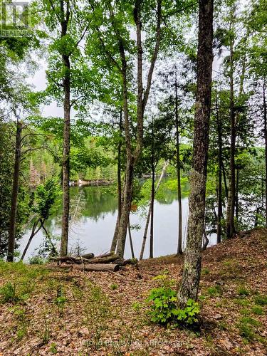 130A Finnegan Lane, Wollaston, ON 