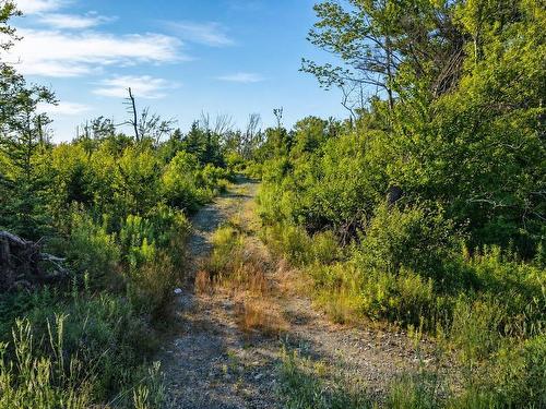 Lot 2017-2 Main A Dieu Road, Catalone, NS 