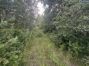 1906 Byrnes Road, Byrnes Road, PE 