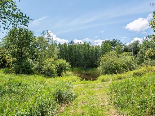 105 Dill Road, Currys Corner, NS 