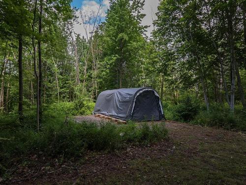 105 Dill Road, Currys Corner, NS 