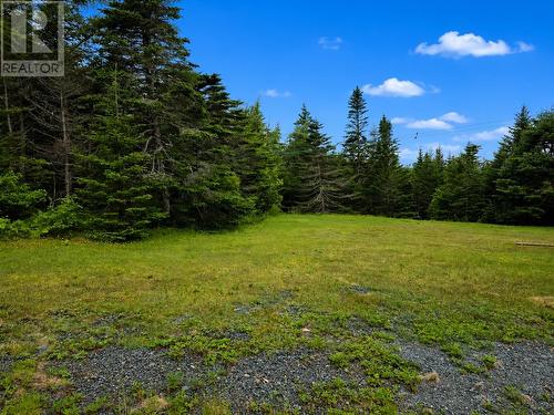 71 Strawberry Hill Road, Brigus Junction, NL - Outdoor