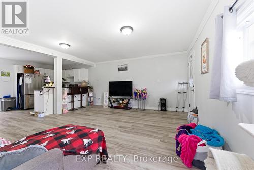 Unit 2 - Living room - 23B Mother'S Road, Tweed (Elzevir (Twp)), ON - Indoor