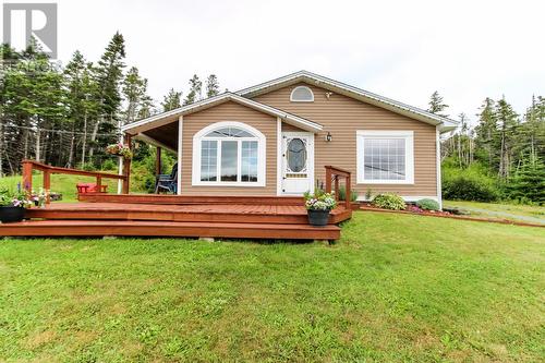 248 Main (Route 93) Road, Mount Carmel, NL - Outdoor