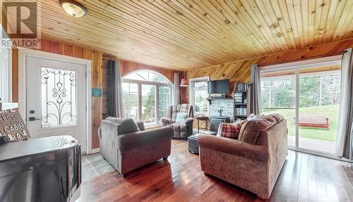 248 Main (Route 93) Road, Mount Carmel, NL - Indoor Photo Showing Living Room With Fireplace
