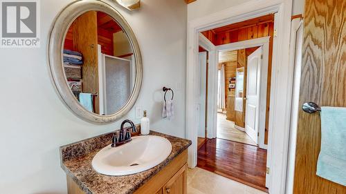 248 Main (Route 93) Road, Mount Carmel, NL - Indoor Photo Showing Bathroom