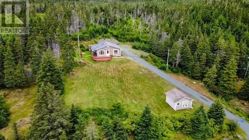 248 Main (Route 93) Road, Mount Carmel, NL - Outdoor With View