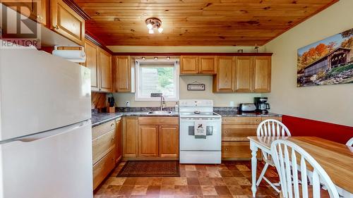 248 Main (Route 93) Road, Mount Carmel, NL - Indoor Photo Showing Kitchen