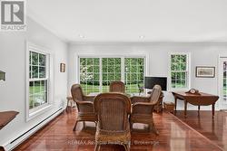 abundance of natural light - 