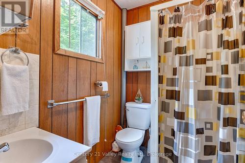 27A Maple Grove Lane, North Algona Wilberforce, ON - Indoor Photo Showing Bathroom