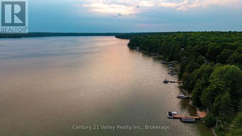 27A Maple Grove Lane, North Algona Wilberforce, ON - Outdoor With Body Of Water With View