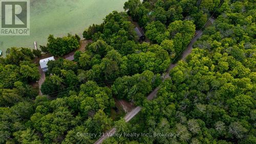 27A Maple Grove Lane, North Algona Wilberforce, ON - Outdoor With View