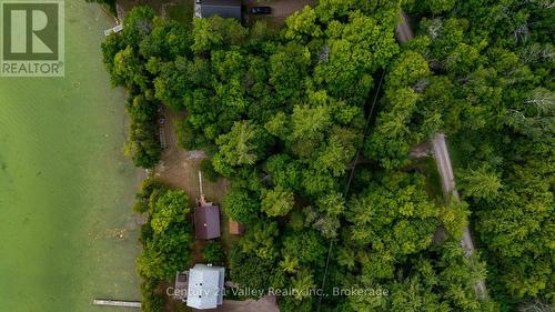 27A Maple Grove Lane, North Algona Wilberforce, ON - Outdoor With View