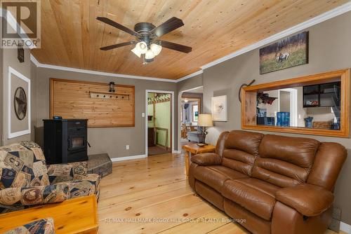 598321 2Nd Line W, Mulmur, ON - Indoor Photo Showing Living Room With Fireplace