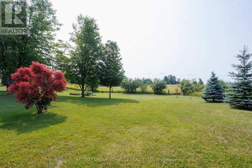 243 Fairbairn Road, Kawartha Lakes (Bobcaygeon), ON - Outdoor With View