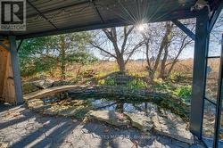 ideal pond near the gazebo - 
