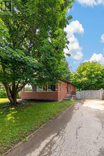 46 Mcintyre Crescent, Halton Hills, ON - Outdoor