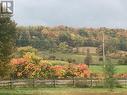9950 Danforth Road E, Alnwick/Haldimand, ON  - Outdoor With View 