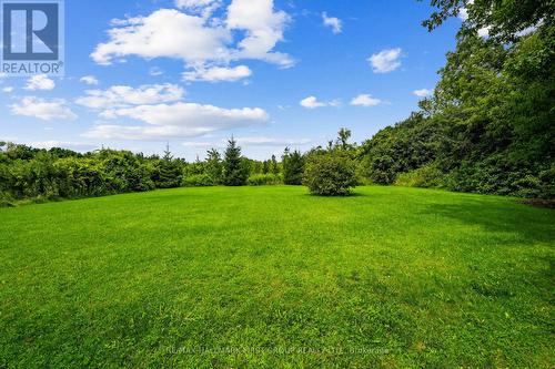 9950 Danforth Road E, Alnwick/Haldimand, ON - Outdoor With View