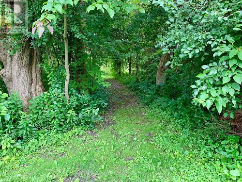 9950 Danforth Road E, Alnwick/Haldimand, ON - Outdoor