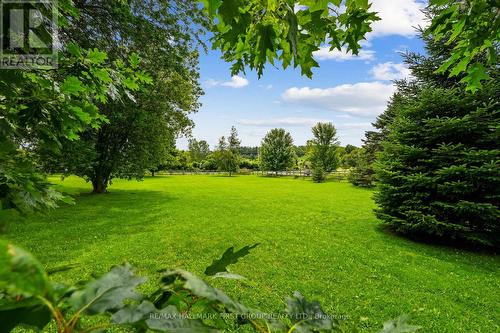 9950 Danforth Road E, Alnwick/Haldimand, ON - Outdoor