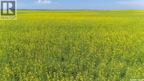 Ne 13-13-25 W2 - Briercrest Area, Baildon Rm No. 131, SK 