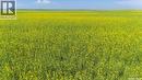 Ne 13-13-25 W2 - Briercrest Area, Baildon Rm No. 131, SK 