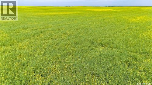 Ne 13-13-25 W2 - Briercrest Area, Baildon Rm No. 131, SK 