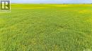 Ne 13-13-25 W2 - Briercrest Area, Baildon Rm No. 131, SK 