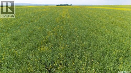 Ne 13-13-25 W2 - Briercrest Area, Baildon Rm No. 131, SK 