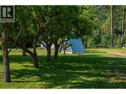 10 mature fruit trees.  They are a mixture of different apple trees, sour cherry trees and pear trees.  There is also a newly planted plum tree. - 