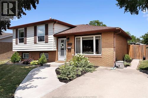 347 St. Peter Street, Belle River, ON - Outdoor With Facade
