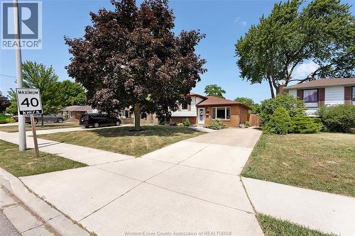 347 St. Peter Street, Belle River, ON - Outdoor With Facade