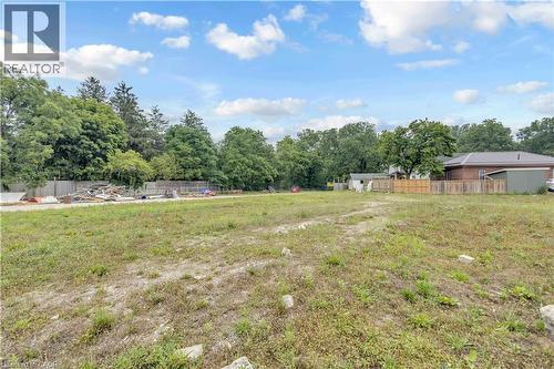 Expansive level lot featuring mature perimeter trees, a partial wood fence, and a clear building area - 9 James Street, Simcoe, ON 