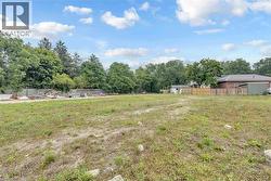 Expansive level lot featuring mature perimeter trees, a partial wood fence, and a clear building area - 