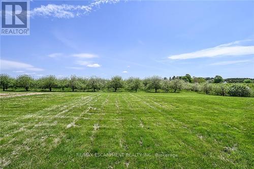 903 Concession 13 Townsend Road, Norfolk, ON - Outdoor With View