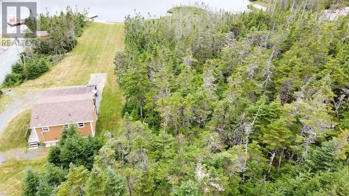93 Penney Lane, Brigus Junction, NL - Outdoor With View