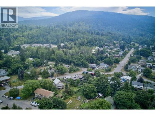 703 Pine Street, Nelson, BC - Outdoor With View