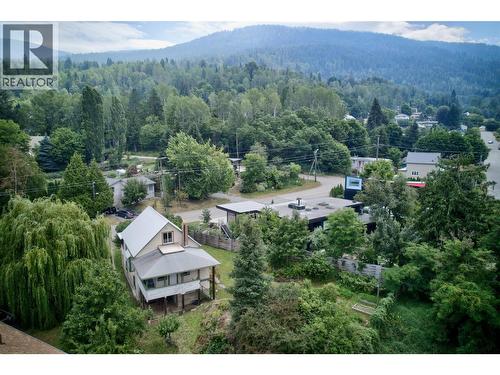 703 Pine Street, Nelson, BC - Outdoor With View