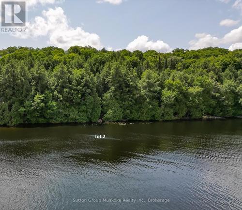 Lot 2 Esig Lane, Lake Of Bays (Sinclair), ON 