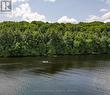 Lot 2 Esig Lane, Lake Of Bays (Sinclair), ON 